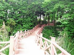 -梅峰山地公园