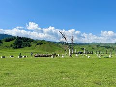 -新疆那拉提国家旅游度假区