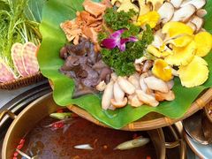 -大理董·董家小厨野生菌火锅(古城旗舰店)