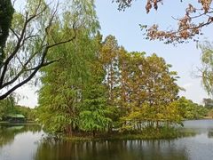 -共青国家森林公园-售票处