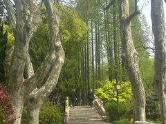 -上海醉白池公园