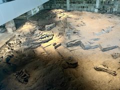 -自贡恐龙博物馆