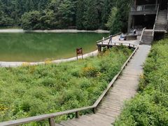 -武陵山森林公园