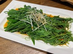 -鸽子窝(黄村店)