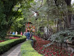 -白家大院·王府宫廷菜(苏州街店)