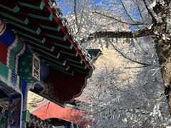 -崂山巨峰游览区