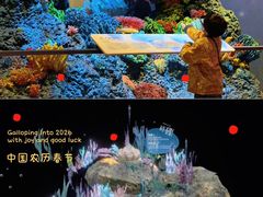 -中国湿地博物馆