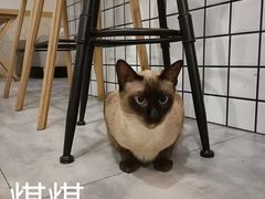 -有何Book(六堰体育馆店)