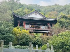 -十八棵（老龙井）御茶园(老龙井店)