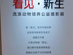 -小米之家(世博源店)