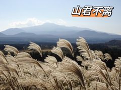 -济州森林小火车生态公园