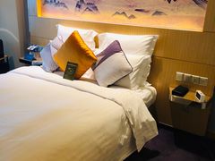 -苏州金鸡湖文博诺富特酒店