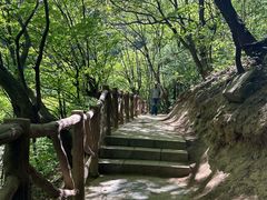 -红崖峡谷景区