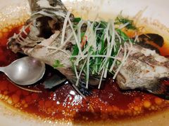 -锦粤宫·精致粤菜(深圳北站店)