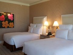 -拉斯维加斯永利酒店