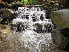 -火炉山森林公园