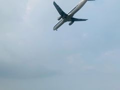 -空港花田景区