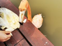 -宁波杭州湾国家湿地公园