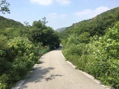 -灵岩山风景区
