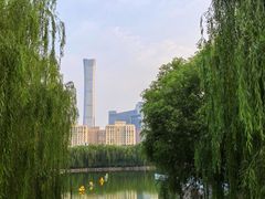 -团结湖公园