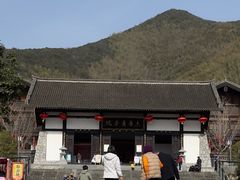-大唐贡茶院