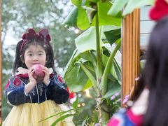 -HERRE·FARM 赫尔露营农场·团建聚会包场