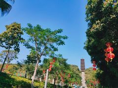-红花山公园
