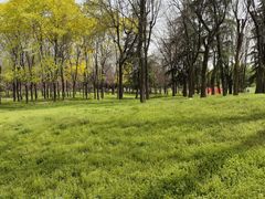 -洨河生态公园