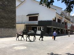 -醉云喃