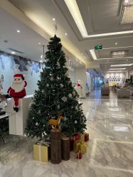 -上海首尔丽格医疗美容医院