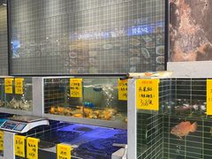 -501號台州海鲜餐厅(海创园店)