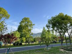 -黄山太平湖风景区
