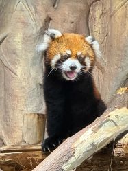 -Zoolung Zoolung动物主题公园(海信广场店)