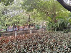 -晓港公园