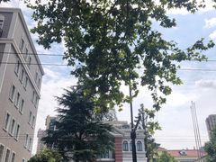 -西区老大房(愚园路店)