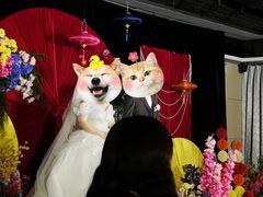 -厦门喜来登酒店
