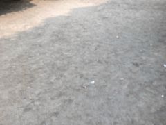 -勇士之星真人CS·团建·拓展(清水河公园店)