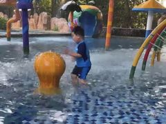 -亚马逊丛林水乐园