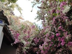 -深圳国际园林花卉博览园