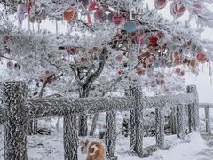 -雁荡山风景名胜区