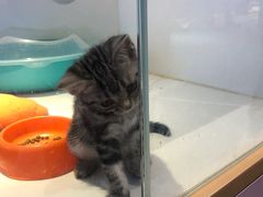 -龟与熊猫宠物公园(南坪店)