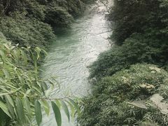 -水岸庭院·乡村柴火鸡