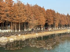 -苏州太湖湖滨国家湿地公园