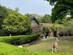 -扬州市茱萸湾风景区