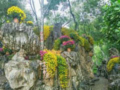 -莲湖公园