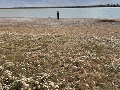 -亿利库布其七星湖沙漠生态旅游区