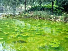 -沕沕水生态风景区