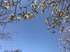 -青岛第三海水浴场