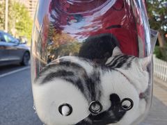 -酷宠动物医院(天通西苑店)