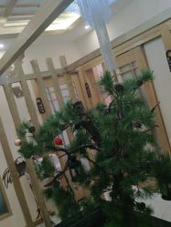 -芳朵美容养生SPA